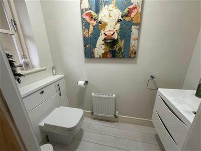 Picture 5